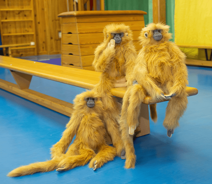 Maskot TEO Rodinná gymnastika Praha