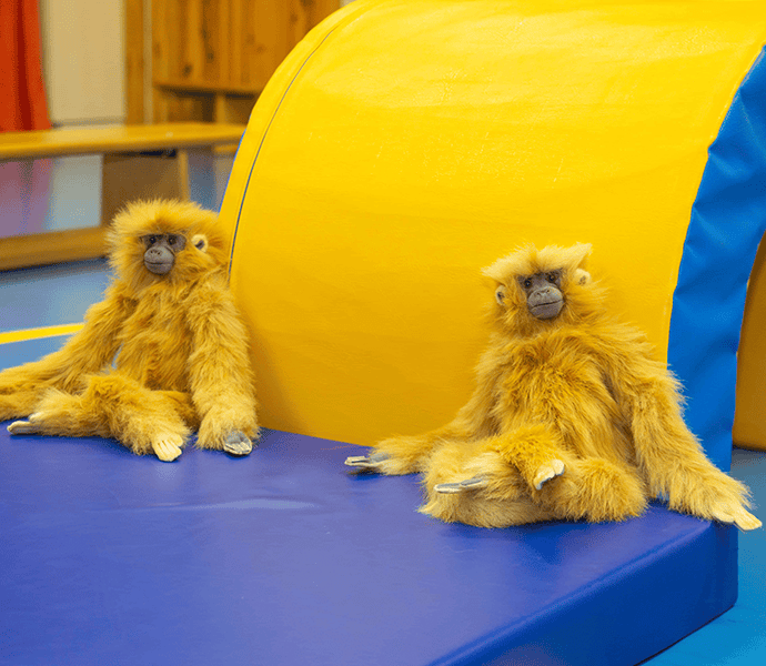 Maskot TEO Rodinná gymnastika Praha